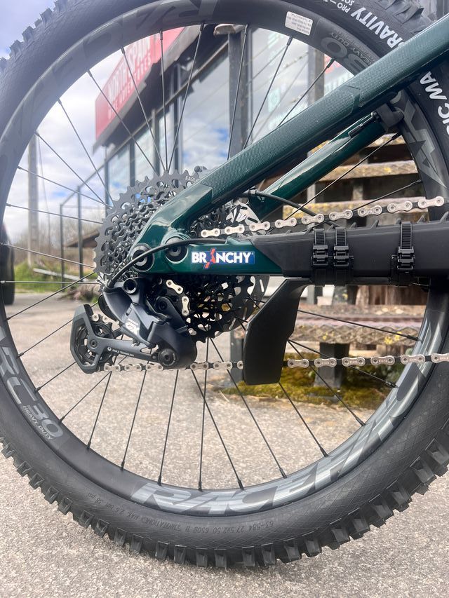 Protector Cambio Branchy - MTB