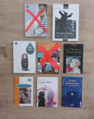 Libros de lectura primaria ESO instituto Tarragona