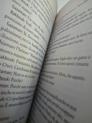 Una bottiglia nel mare di Gaza - Romanzo