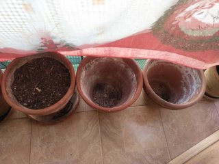 Macetas Terracota - Diámetro 26, 23, 22cm