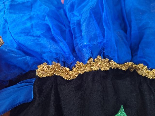 Disfraz ana Frozen niña 4 años