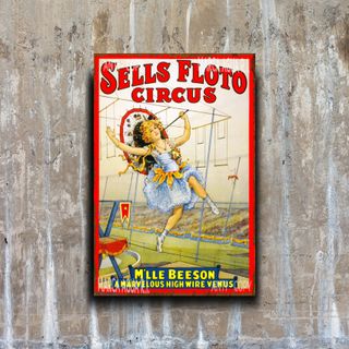 PLACA METALICA CIRCO CARTEL RETRO DECORATIVO METAL
