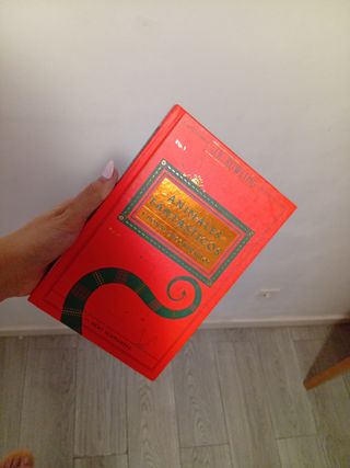 Animales Fantásticos y dónde encontrarlos