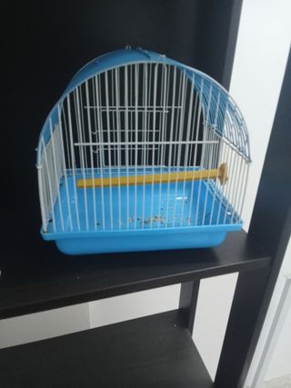 Jaula pajaros pequeña azul