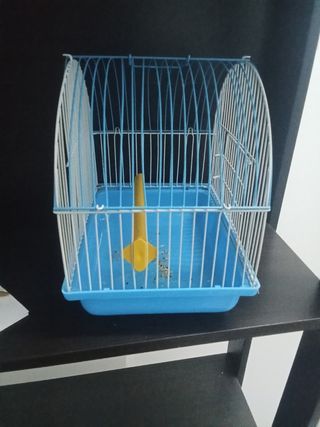Jaula pajaros pequeña azul