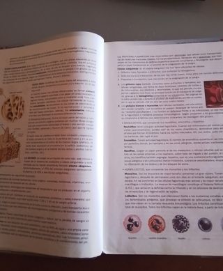 Anatomía aplicada