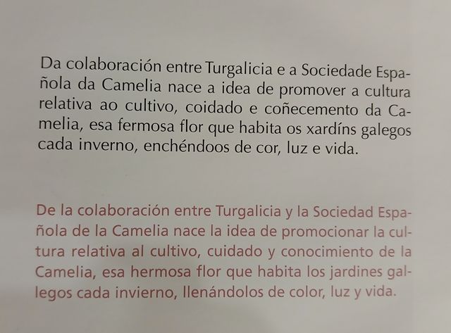 Libro Camelia, Flor de Galicia