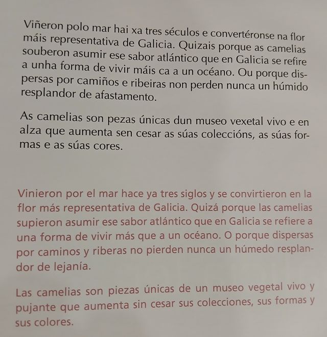 Libro Camelia, Flor de Galicia