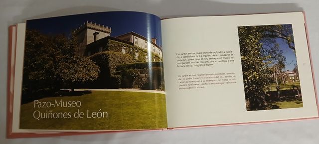 Libro Camelia, Flor de Galicia