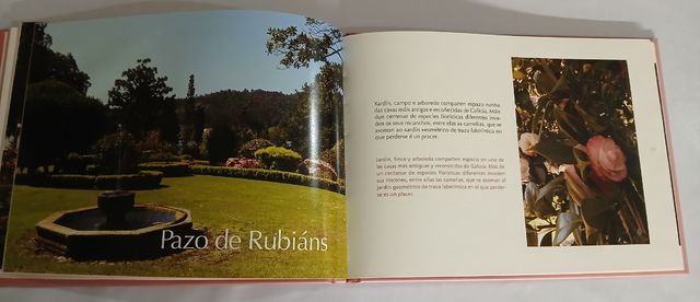 Libro Camelia, Flor de Galicia