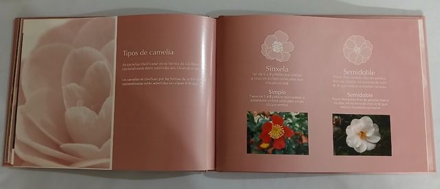 Libro Camelia, Flor de Galicia