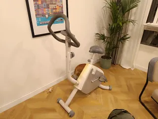 Bicicleta estática Domyos FC 100