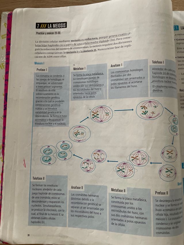 Libro Biología y Geología 4 ESO Fanfest