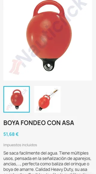 Boyarín  pesca submarina