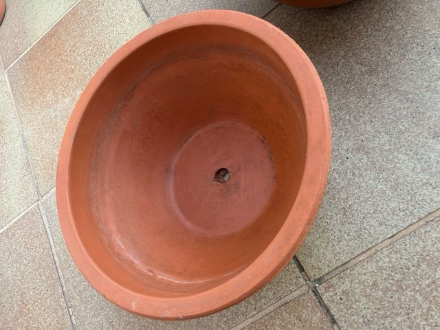 2 Vasi Terracotta