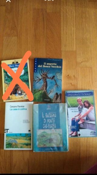 Libri ragazzi/e - adulti