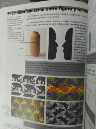 1 ESO Plastica y visual (Casals)