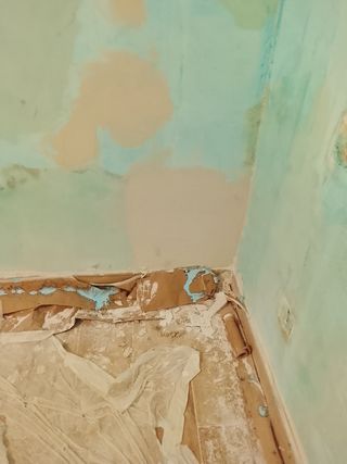 Se realizar cualquier tipo de labor en el hogar 