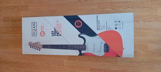 Guitarra eléctrica con funda + púas + herramientas