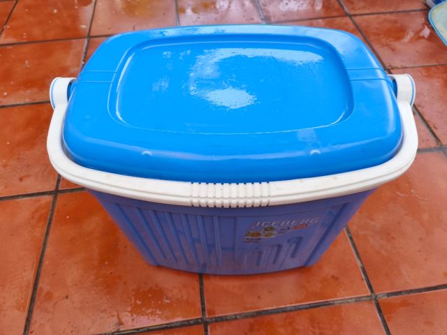 Nevera portátil Iceberg azul