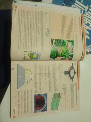 Mary Somerville 4 ESO. Matemàtiques
