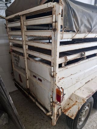 Carro de transporte de animales vivo  