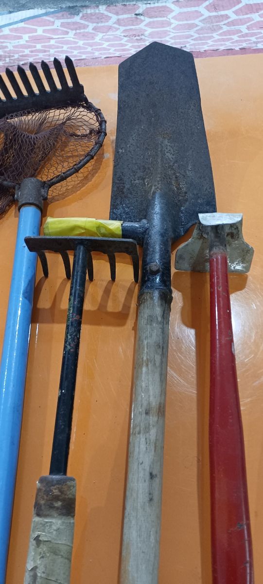 Rastrillo coquinas/ Pala gusanos de funda, azadón 