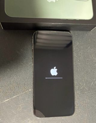 iPhone 13 Pro Max Verde