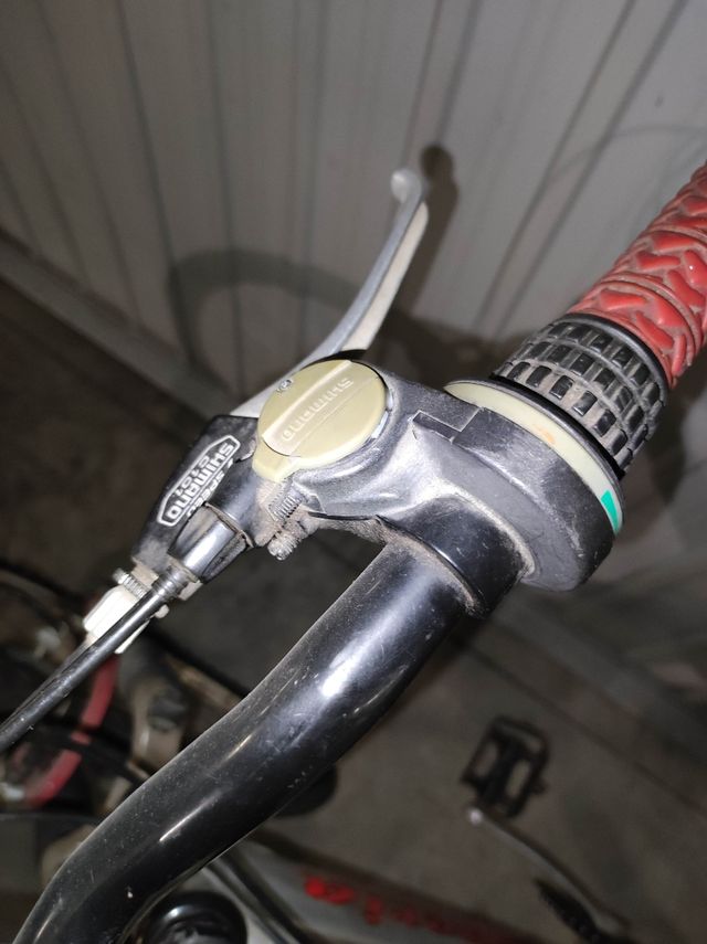 Mountain bike Esperia usata