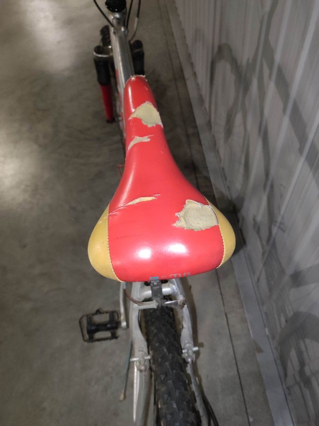 Mountain bike Esperia usata