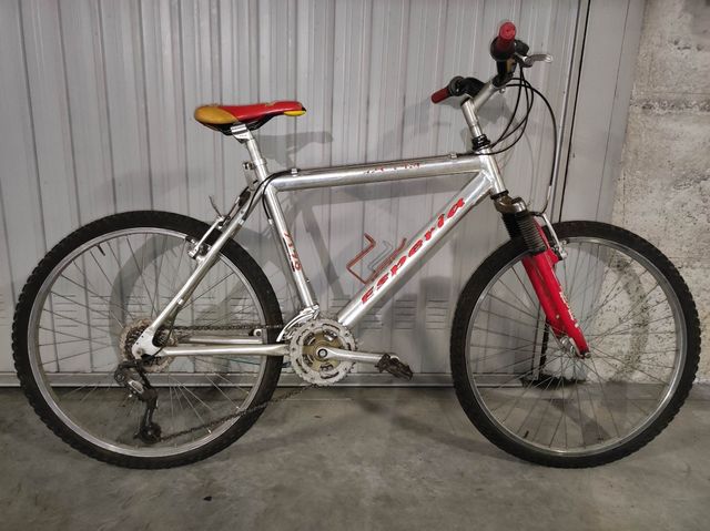 Mountain bike Esperia usata