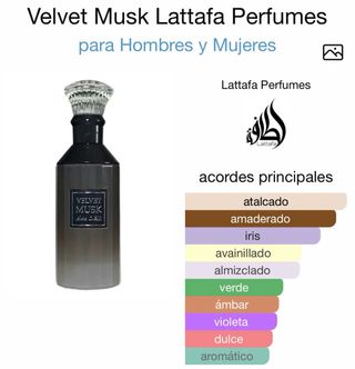 Perfume Lattafa Velvet Musk 100ml