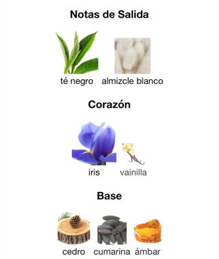 Perfume Lattafa Velvet Musk 100ml