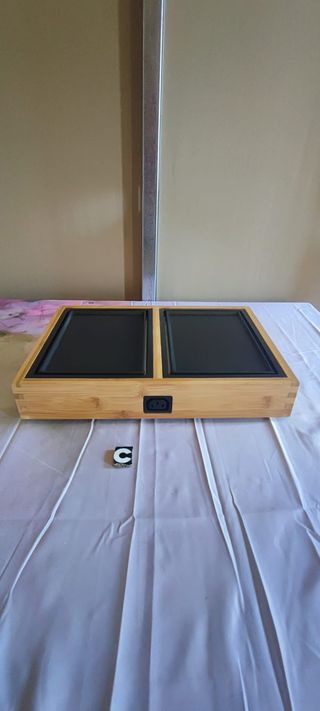 Plancha Princess Bambú 2p 420W