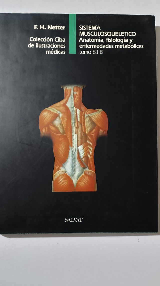 Sistema Musculosqueletico