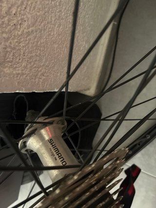 Aro: Mavic CXP22 (aluminio, perfil medio, muy resi