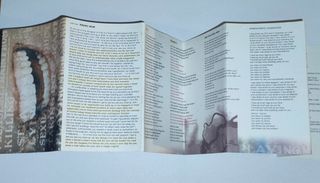 Alanis Morissette Supposed Former Infatuation Junk