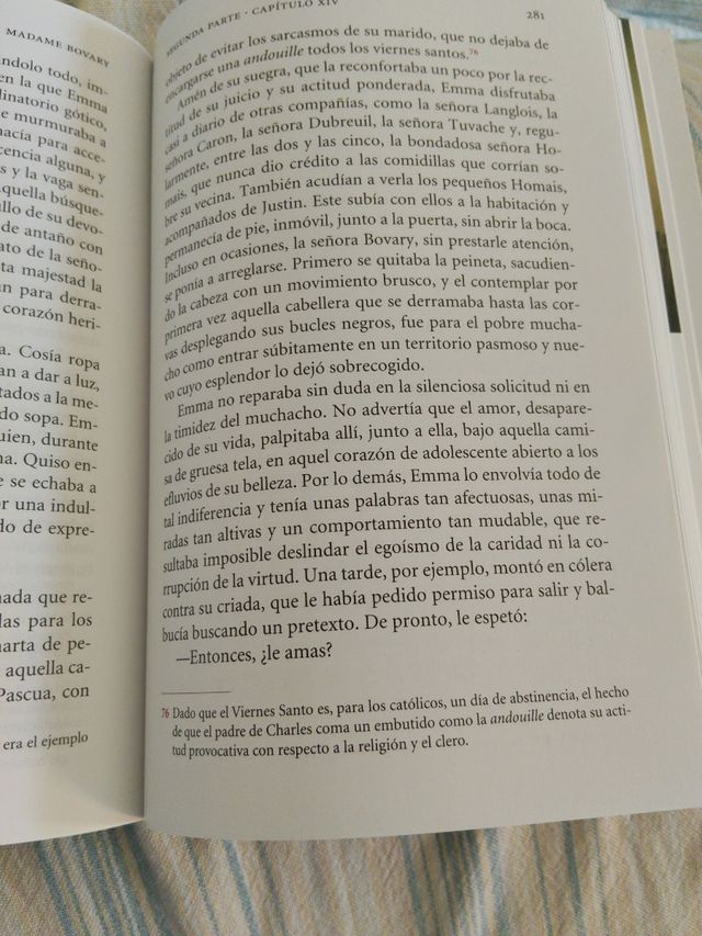 Madame Bobary (clasicos Universales)