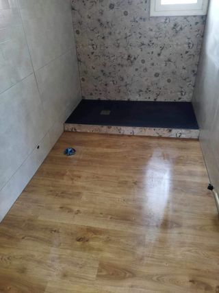 Reforma baño y salón
