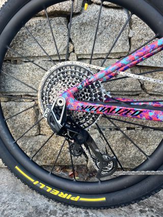 Specialized S-Works Epic WC Limited