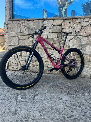Specialized S-Works Epic WC Limited