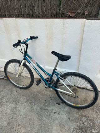 se alquilan bicicletas por dias o semanas. 
