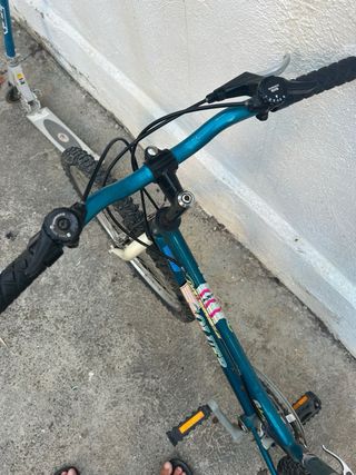 se alquilan bicicletas por dias o semanas. 
