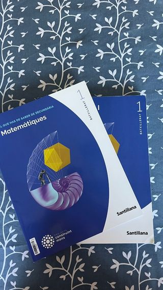 MATEMATIQUES I 1BTX CONSTRUINT MONS