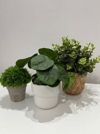 3 Plantas Artificiales Ikea
