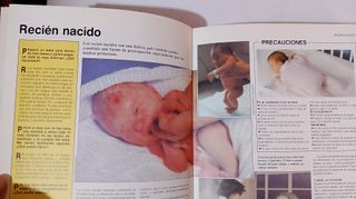 Prevenir y Vivir , Guia Familiar ,no 8