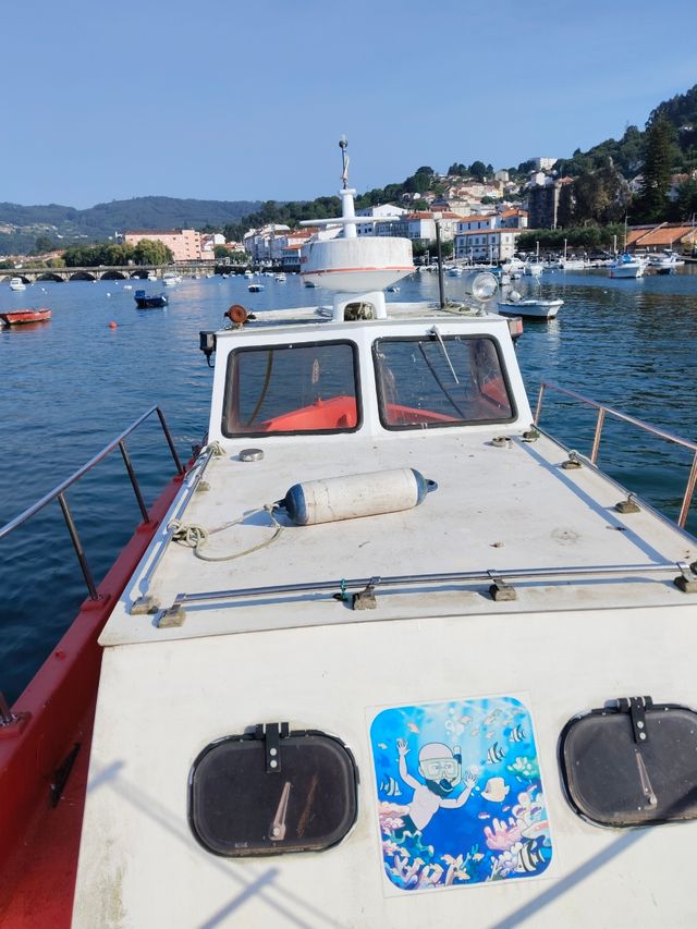 Selcruiser 8m - Barca pesca