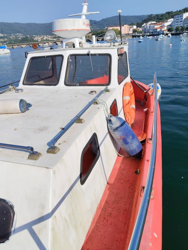 Selcruiser 8m - Barca pesca