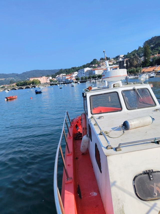 Selcruiser 8m - Barca pesca