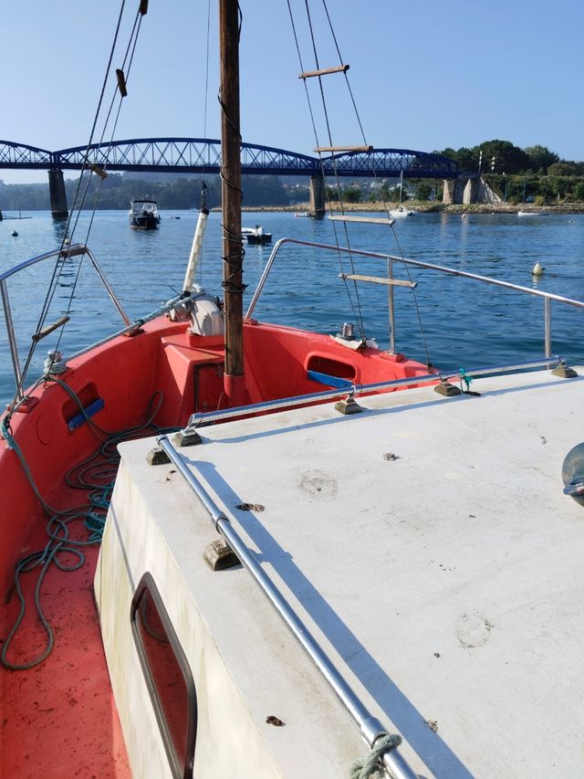 Selcruiser 8m - Barca pesca